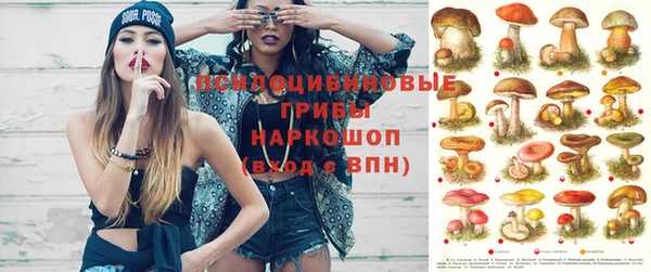 бошки Арсеньев