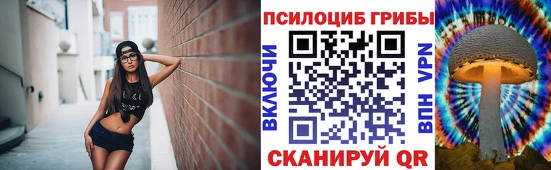 Галлюциногенные грибы GOLDEN TEACHER купить наркотик Майский
